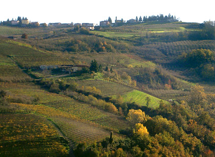 Il cocuzzolo di S. Donato di Mango
