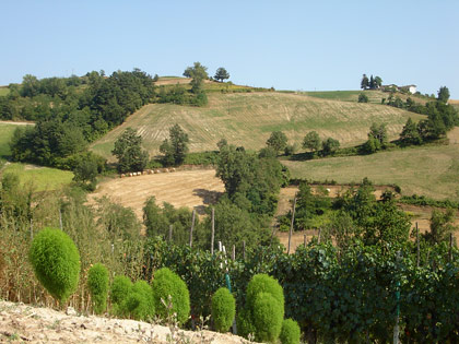Colline di Murazzano, 