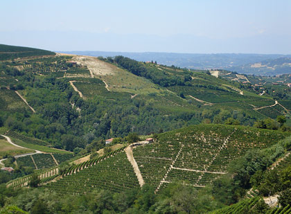 Le colline di Santo Stefano Belbo, 