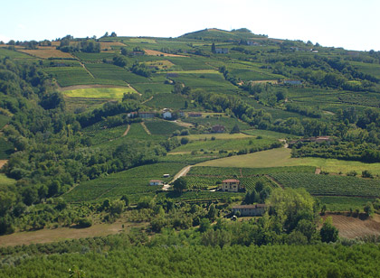 La collina di Gaminella, Santo Stefano Belbo, 