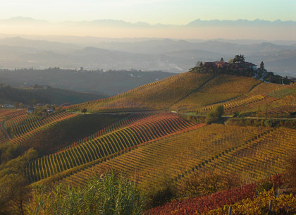Colline di Treiso