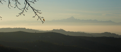 Colline di Treiso