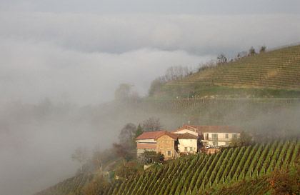 Colline fra Treiso e Mango