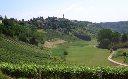Vinchio