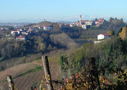 Vinchio