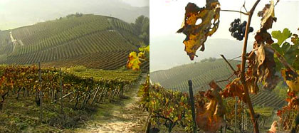 Vinchio, i colori dell'autunno