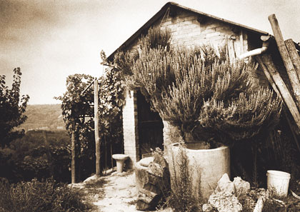 Vinchio, il casotto di San Michele