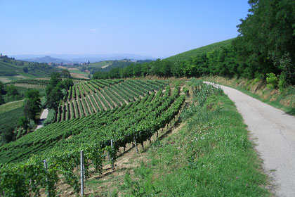 Vinchio, il bricco di San Michele