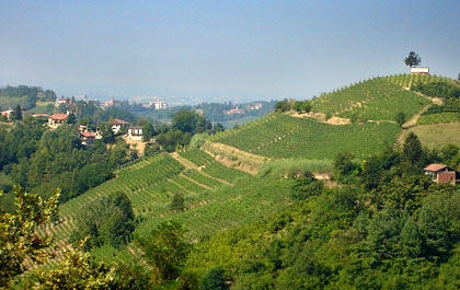 Colline del Monferrato